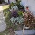 Sonia Vogel - Facebook