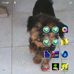 Sonia Vogel - Facebook