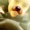 soniawesley - @soniawesley - TikTok