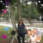 Sonia Willis - @sonia.willis.1840 - Instagram