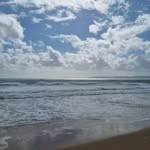 Sonia Willis - @sonia.willis.165 - Instagram