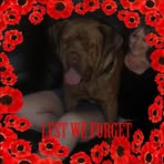 Sonia Willis - Facebook