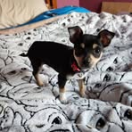 Sonia Wright - Facebook