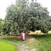 Soniya Sinha - Facebook