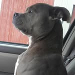 Sonja Adkins - @sonja4485 - Instagram