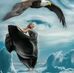 Sonja Adler - Facebook