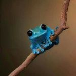 Sonja Akers - @sonjaakers - Instagram