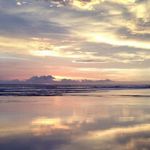 Sonja Alvarez - @sonja.alvarez.71 - Instagram