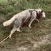 Sonja Anders - Facebook