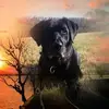 Sonja Andres851 - @sonjaandres0 - TikTok