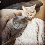 Sonja Andres - @sonjaandres - Instagram