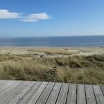 Sonja Andresen - @sonjaandresen - Instagram