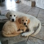 Sonja Arnold - @sonja.arnold.33886 - Instagram