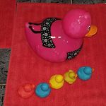 Sonja Arnold - @sonja.arnold.568 - Instagram
