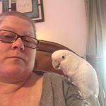 Sonja Atwell - @sonja.atwell - Instagram
