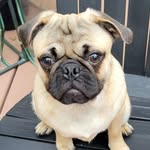 Sonja Austin - @slaustin1205 - Instagram