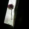sonjaaustin339 - @sonjaaustin339 - TikTok