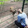 Sonja Baier - @__fraeulein.s - TikTok