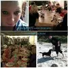 Sonja Bartels - @sonjabartels1 - TikTok