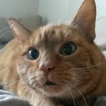 Sonja - @sonja_barth30 - Instagram