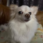 Sonja Bates - @sonjabates003 - Instagram