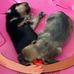 Sonja Benton - Facebook