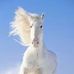 Sonja Best - Facebook