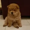Sonja - @sonjabbs - TikTok