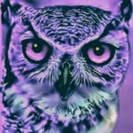 Sonja Jade Blake - @the_lilac_owl - Instagram
