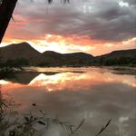 Sonja Blank - @alegria1965 - Instagram