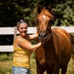 Sonja Bock - @bock_arabians - Instagram