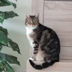 Sonja bockemühl - @bockemuhlsonja - Instagram