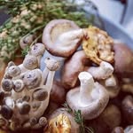 @sonja_boneschan - Instagram