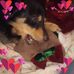 Sonya Bonner - Facebook