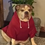 Sonja Brockman - Facebook
