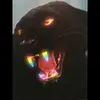Sonja - @sonjabrockmann5 - TikTok