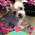 Sonja Burton - @burtonsonja - Instagram