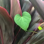 Sonja Burton - @sonja_burton76 - Instagram