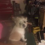 Sonja burton - @sburton19661 - Instagram