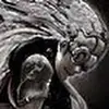 Sonja Seren Calhoun - @blue_sonja - TikTok