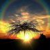 Sonja Carr Smith - Facebook