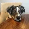 Sonja - @sonjacarragher2 - TikTok