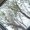 Sonja - @sonja_cassidy - TikTok