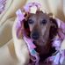 Sonja Caudill - Facebook