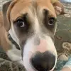 Sonja Chamberlain - @sonja.chamberlain - TikTok