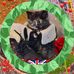 Sonia Chaplin - Facebook