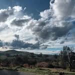 Sonja Charles - @sonja.charles.7 - Instagram