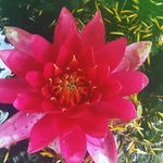 Sonja Clayton - @sonja.clayton - Instagram