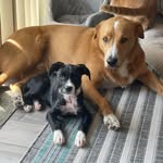 Sonja Stevens Clements - @slcsoccermom_40 - Instagram