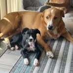 Sonja Stevens Clements - Facebook